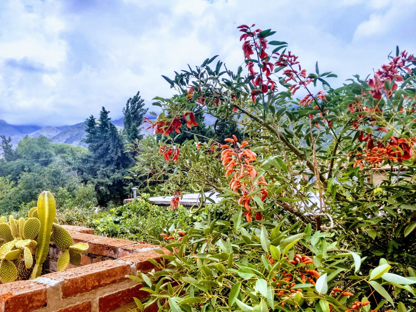 Vista desde la casa